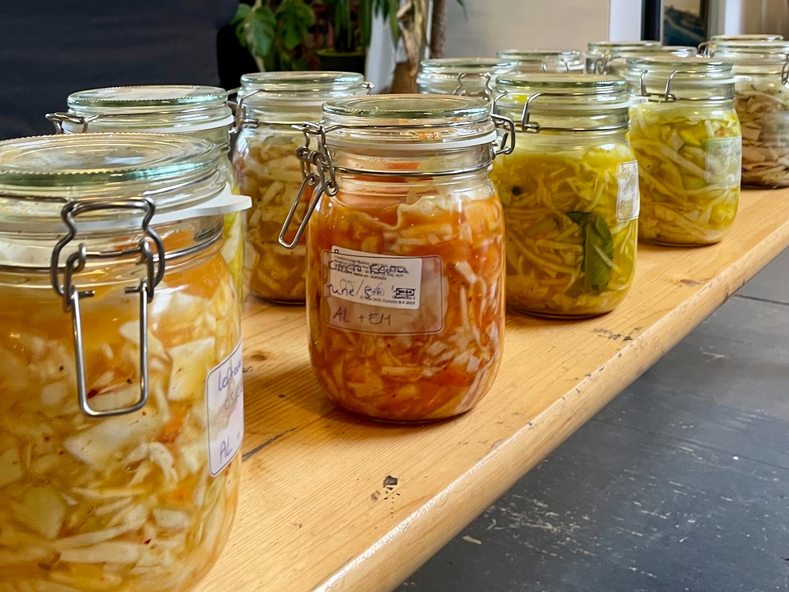 Lactoferment your own vegetables — workshop in Amsterdam