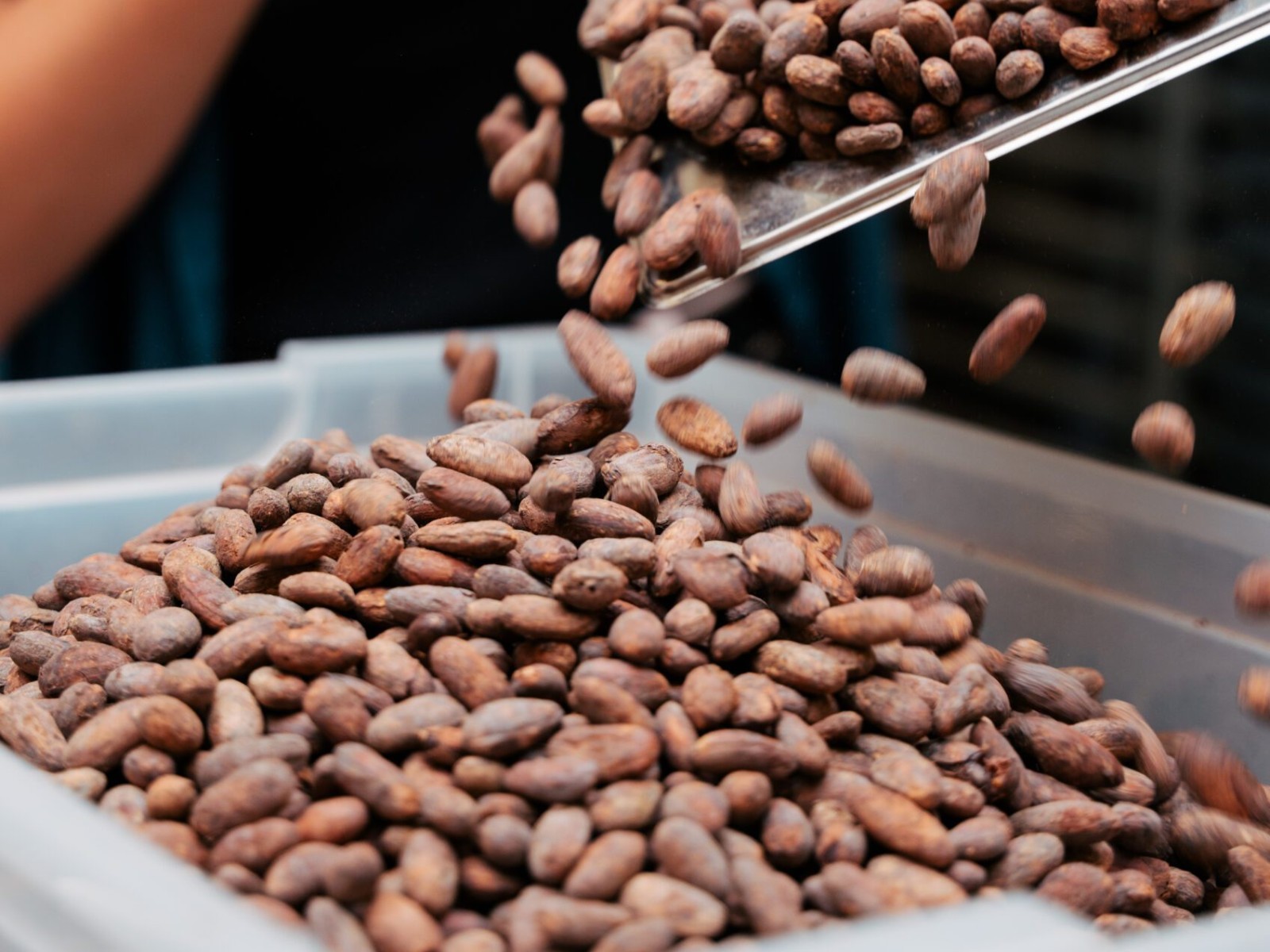 Craft your own chocolate bar — workshop in Amsterdam